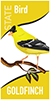 Thumbnail of state bird (Goldfinsh) banner