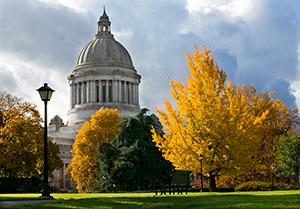 A fall scene with trees and the Washington State Capitol Building in the background