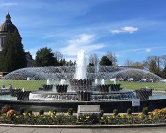 The Tivoli Fountain running in full operation on a blue sky day.