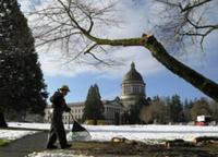 Crews continue clean up after winter storm