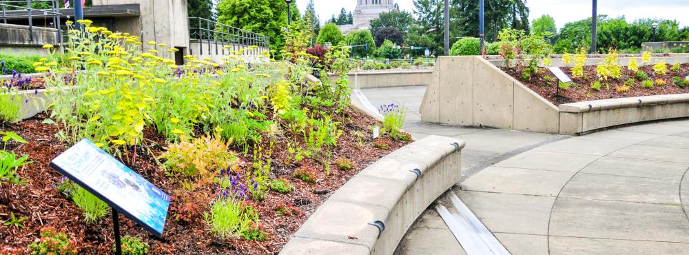 Large concrete planters with pollinator gardens, with the Legislative Building in the background