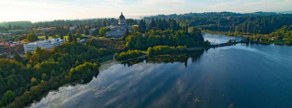 Overhead view of Capitol Lake.