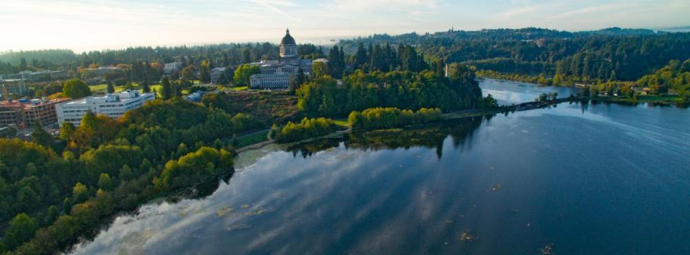 Overhead view of Capitol Lake. 