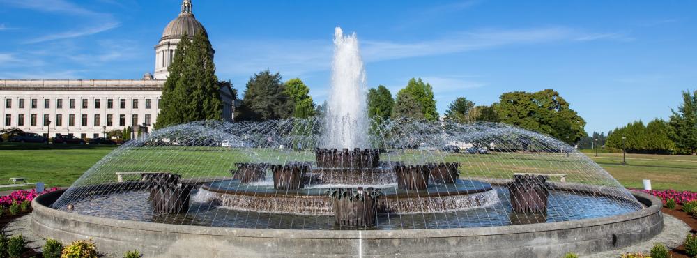 The classic Olmsted turf oval and Great Lawn surround the fountain and color planting, with Olmsted specified trees forming a pleasant green background.