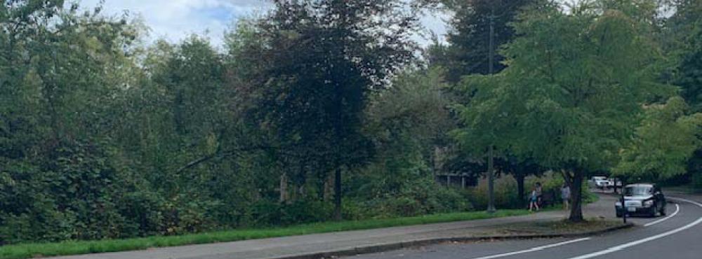 A picture of the road winding along Deschutes Parkway in Olympia, Washington.