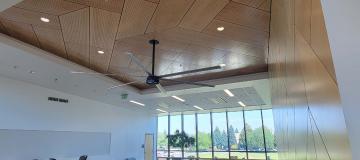 A public works project that has a beautiful geometric wood space in the ceiling