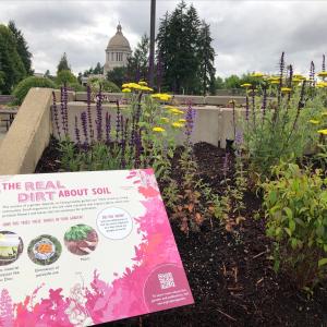 A colorful interpretive sign installed in the garden titled "The real dirt about soil."