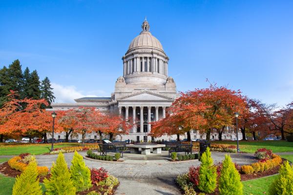 The Washington State Capitol Building framed by fall colors on the trees.